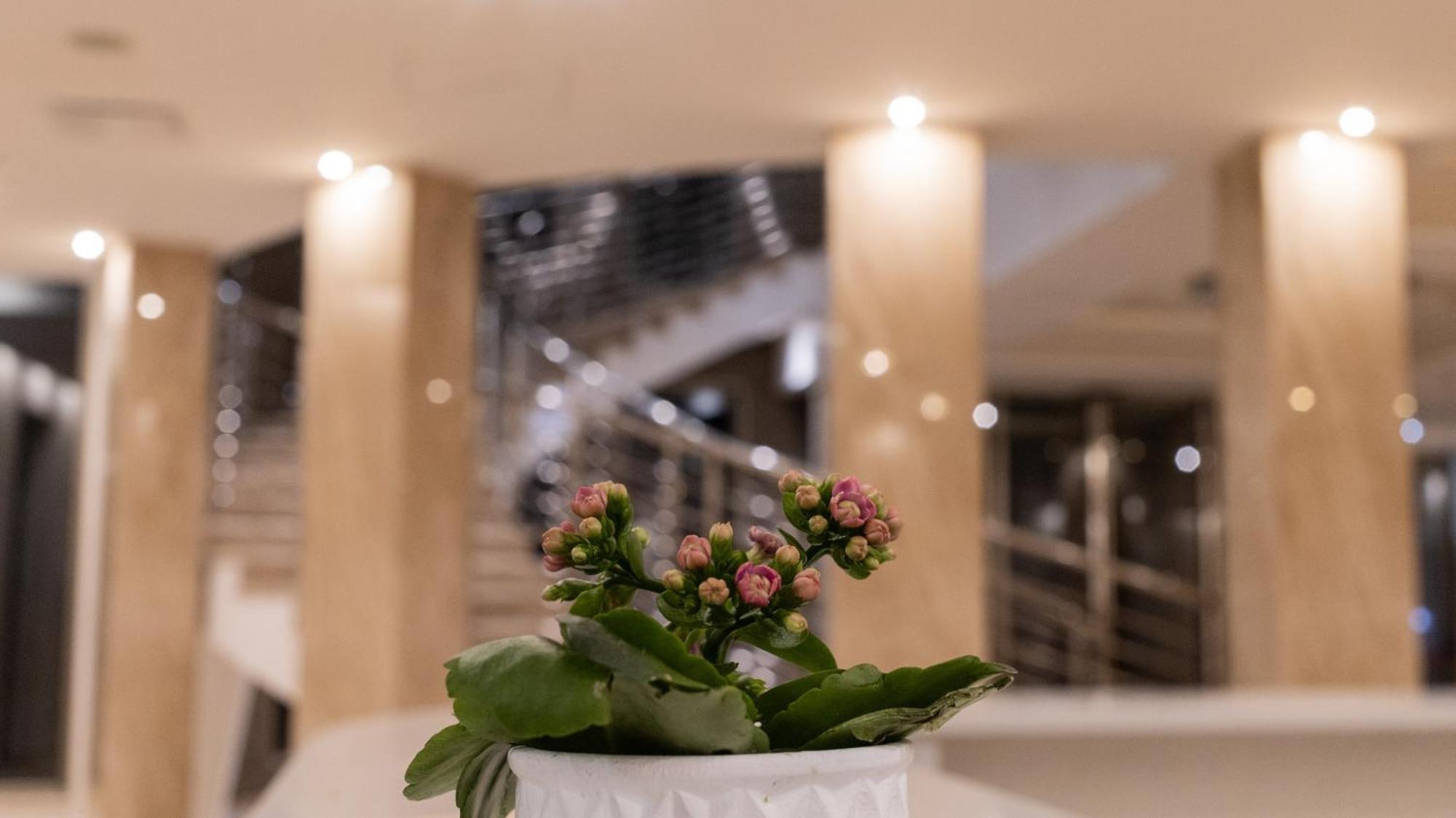 לוקורוטונדו Hotel Donna Crescenza מראה חיצוני תמונה